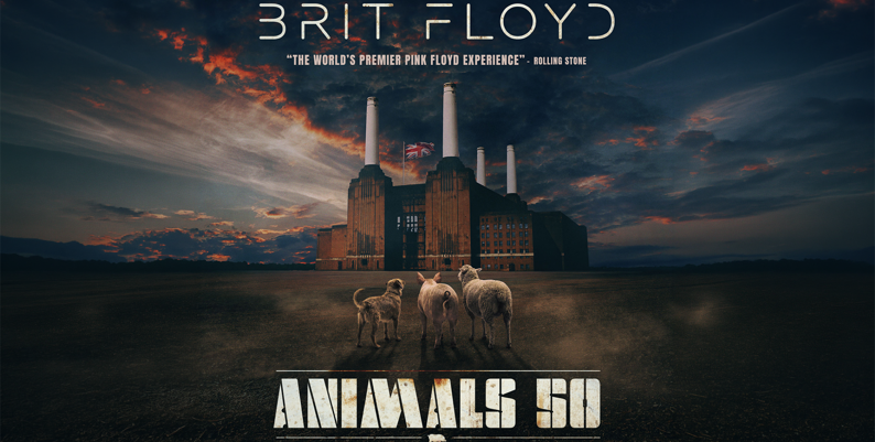 Promobilde for Brit Floyd hotellpakke med billetter