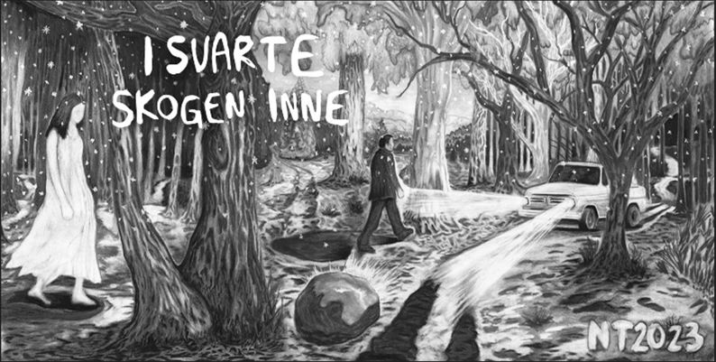 Promobilde for I svarte skogen inne hotellpakke med billetter
